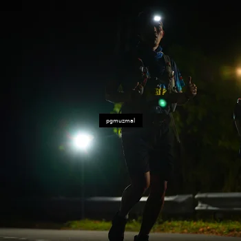 Runner Photo 5228981