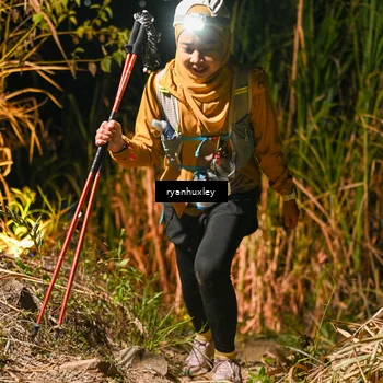 Runner Photo 5229003