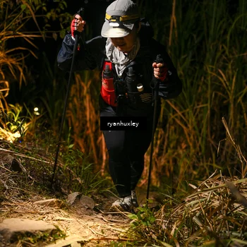 Runner Photo 5229056