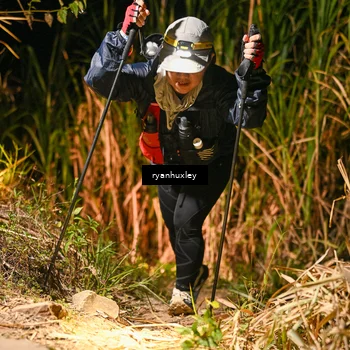 Runner Photo 5229057