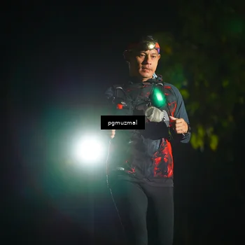 Runner Photo 5229149
