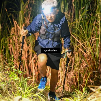 Runner Photo 5229175