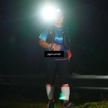 Runner Photo 5229220