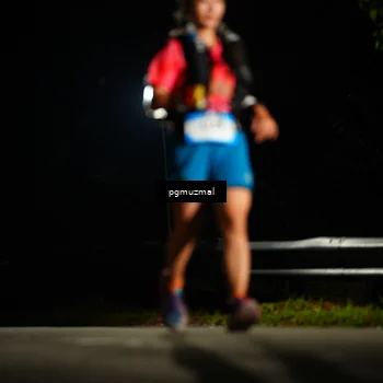 Runner Photo 5229264