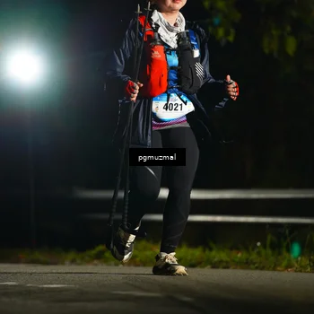 Runner Photo 5229287