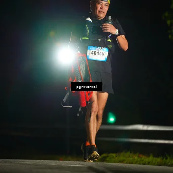 Runner Photo 5229294