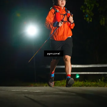 Runner Photo 5229297
