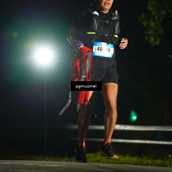 Runner Photo 5229332