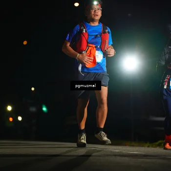 Runner Photo 5229374