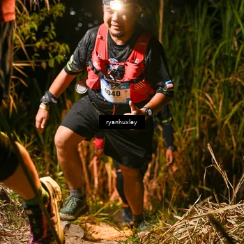 Runner Photo 5229449