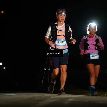 Runner Photo 5229473