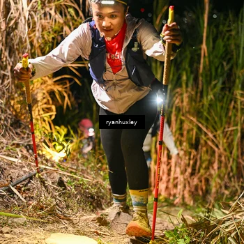 Runner Photo 5229547