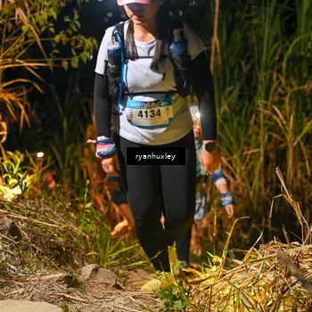 Runner Photo 5229569