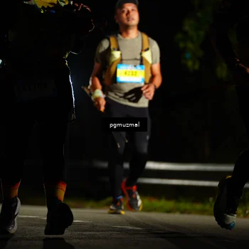 Runner Photo 5229619