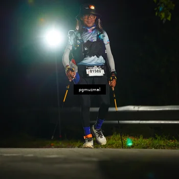 Runner Photo 5229651