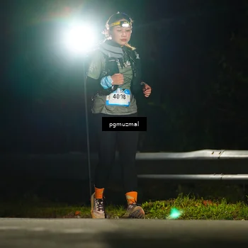 Runner Photo 5229696