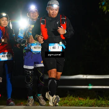 Runner Photo 5229703