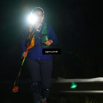 Runner Photo 5229704