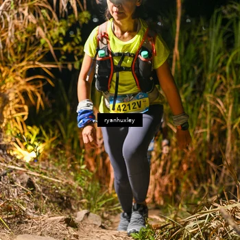 Runner Photo 5229705