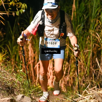 Runner Photo 5229706