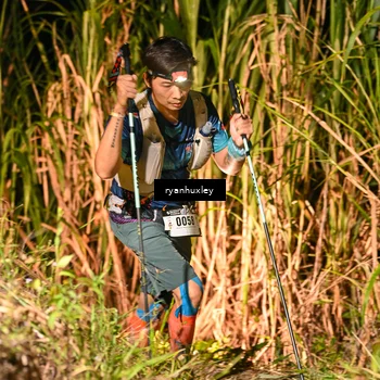 Runner Photo 5229763