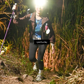 Runner Photo 5229771