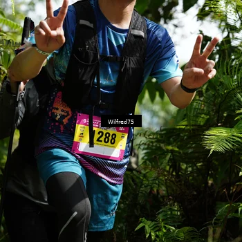 Runner Photo 5229773