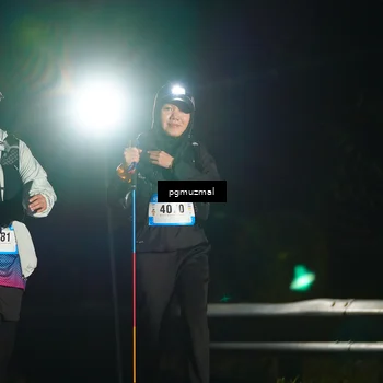 Runner Photo 5229786