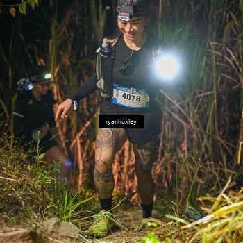 Runner Photo 5229790