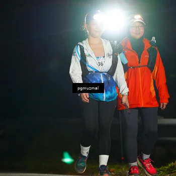 Runner Photo 5229799