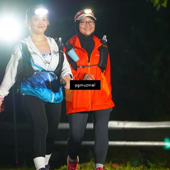 Runner Photo 5229808
