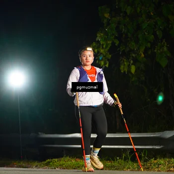 Runner Photo 5229826