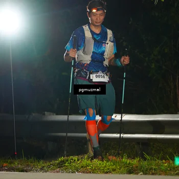 Runner Photo 5229924