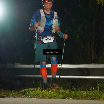 Runner Photo 5229926