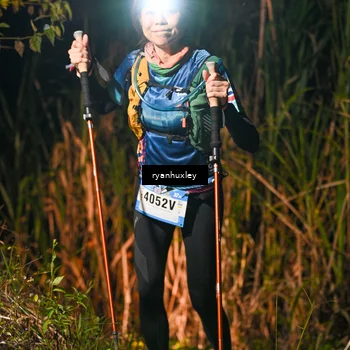 Runner Photo 5229953