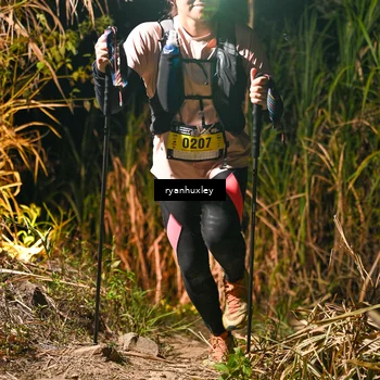Runner Photo 5230244
