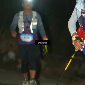 Runner Photo 5230263