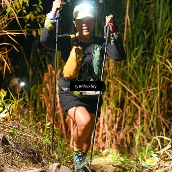 Runner Photo 5230277