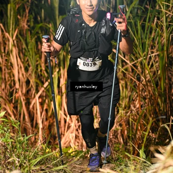 Runner Photo 5230279