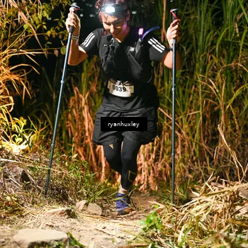 Runner Photo 5230287