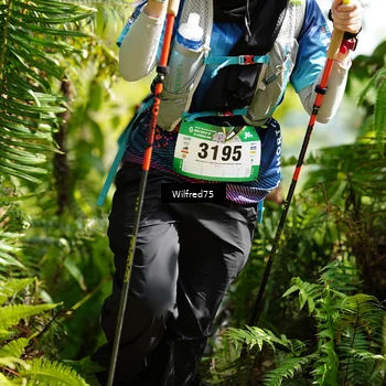 Runner Photo 5230316