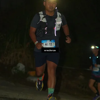 Runner Photo 5230372