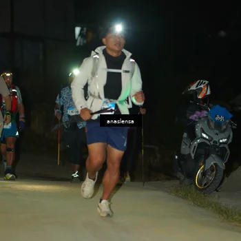 Runner Photo 5230443