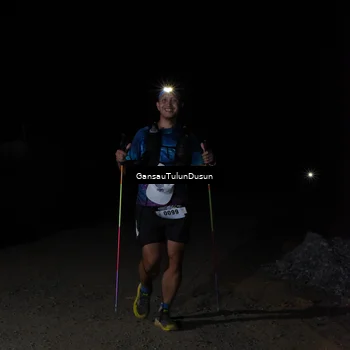 Runner Photo 5230454