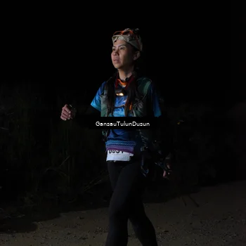 Runner Photo 5230484