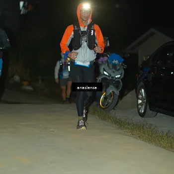 Runner Photo 5230524