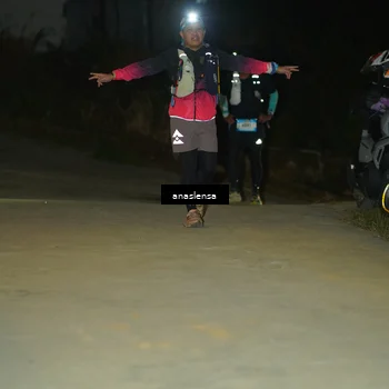 Runner Photo 5230568