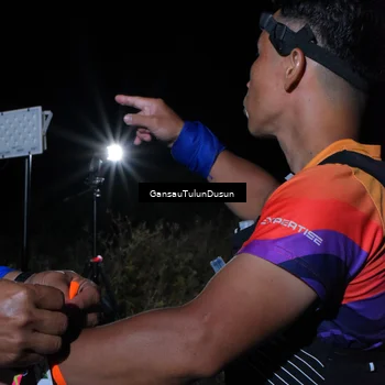 Runner Photo 5230585