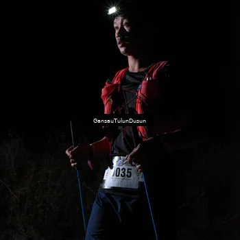 Runner Photo 5230603