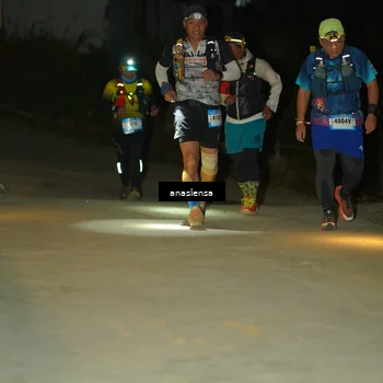 Runner Photo 5230685